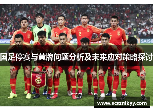 国足停赛与黄牌问题分析及未来应对策略探讨