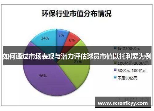 如何通过市场表现与潜力评估球员市值以托利索为例