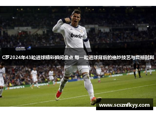 C罗2024年43粒进球精彩瞬间盘点 每一粒进球背后的绝妙技艺与震撼时刻
