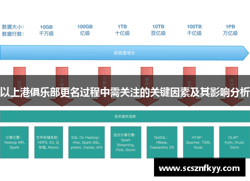 以上港俱乐部更名过程中需关注的关键因素及其影响分析