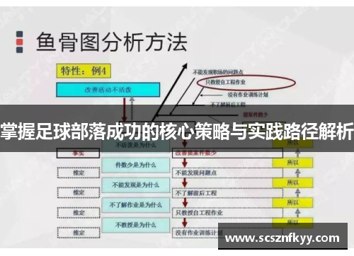 掌握足球部落成功的核心策略与实践路径解析