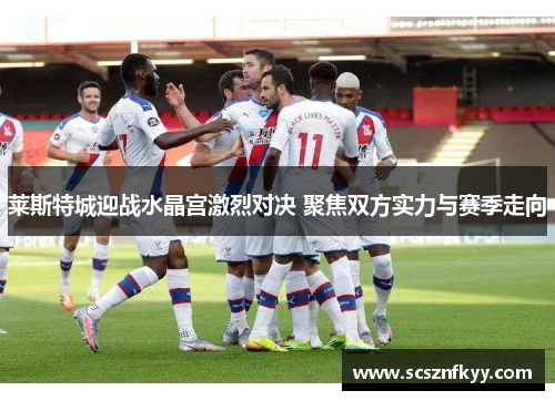 莱斯特城迎战水晶宫激烈对决 聚焦双方实力与赛季走向 莱斯特城迎战水晶宫激烈对决 聚焦双方实力与赛季走向