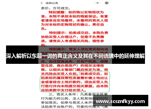 深入解析以东超一词的真正含义及其在不同语境中的延伸理解